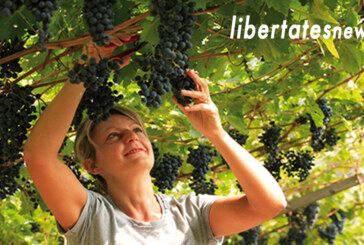 La vendemmia, un inno alla libertà