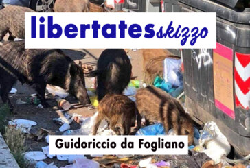 L’economia circolare di Grillo