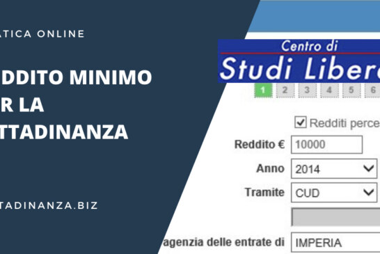 Il reddito minimo di cittadinanza