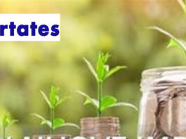 I DOLORI DI UN GIOVANE IMPRENDITORE